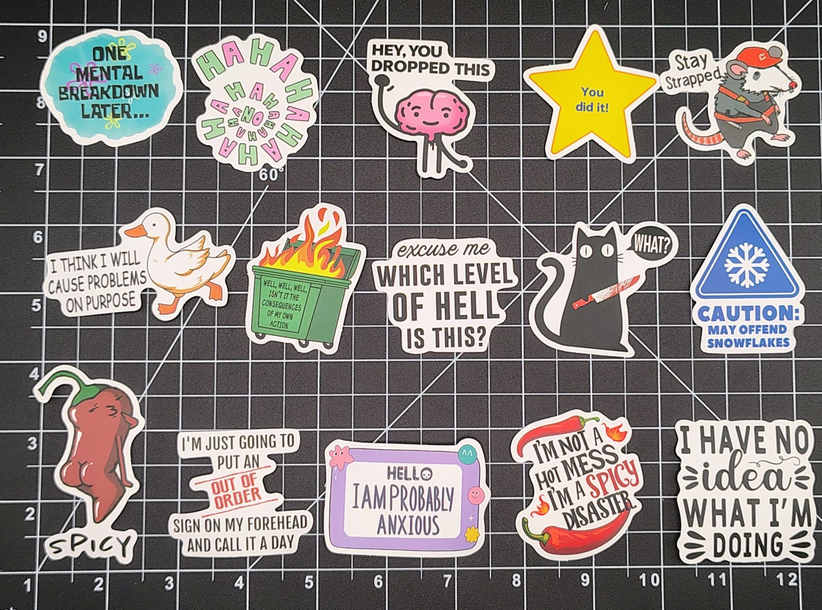 100 Pcs Funny Meme Stickers Pack Vinyl Decals Sarcastic Adult Humor Joke Lot