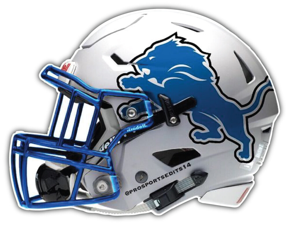 Detroit Lions NFL Football Logo Sport Car Bumper Sticker Decal "SIZES"