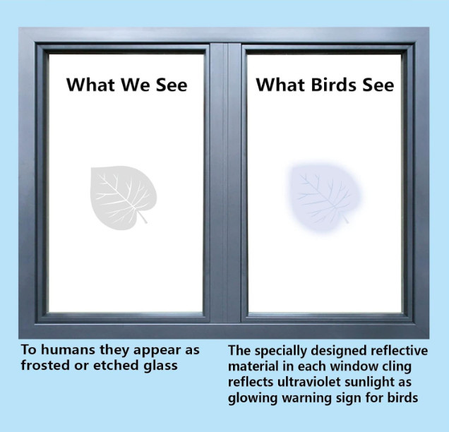 Window Decals for Bird Strikes,52 Pieces Large Leaf Shape anti Collision Window