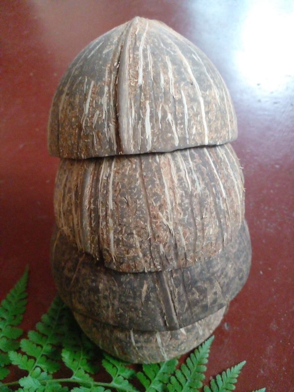 2 Coconut Shells Natural Ceylon Halves Eco Friendly Bowls Organic 100%Sri Lankan