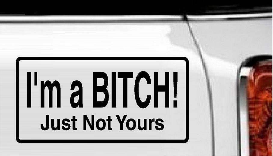 I'm a Bitch! Just Not Yours Vinyl Decal Home Décor 4" x 8"