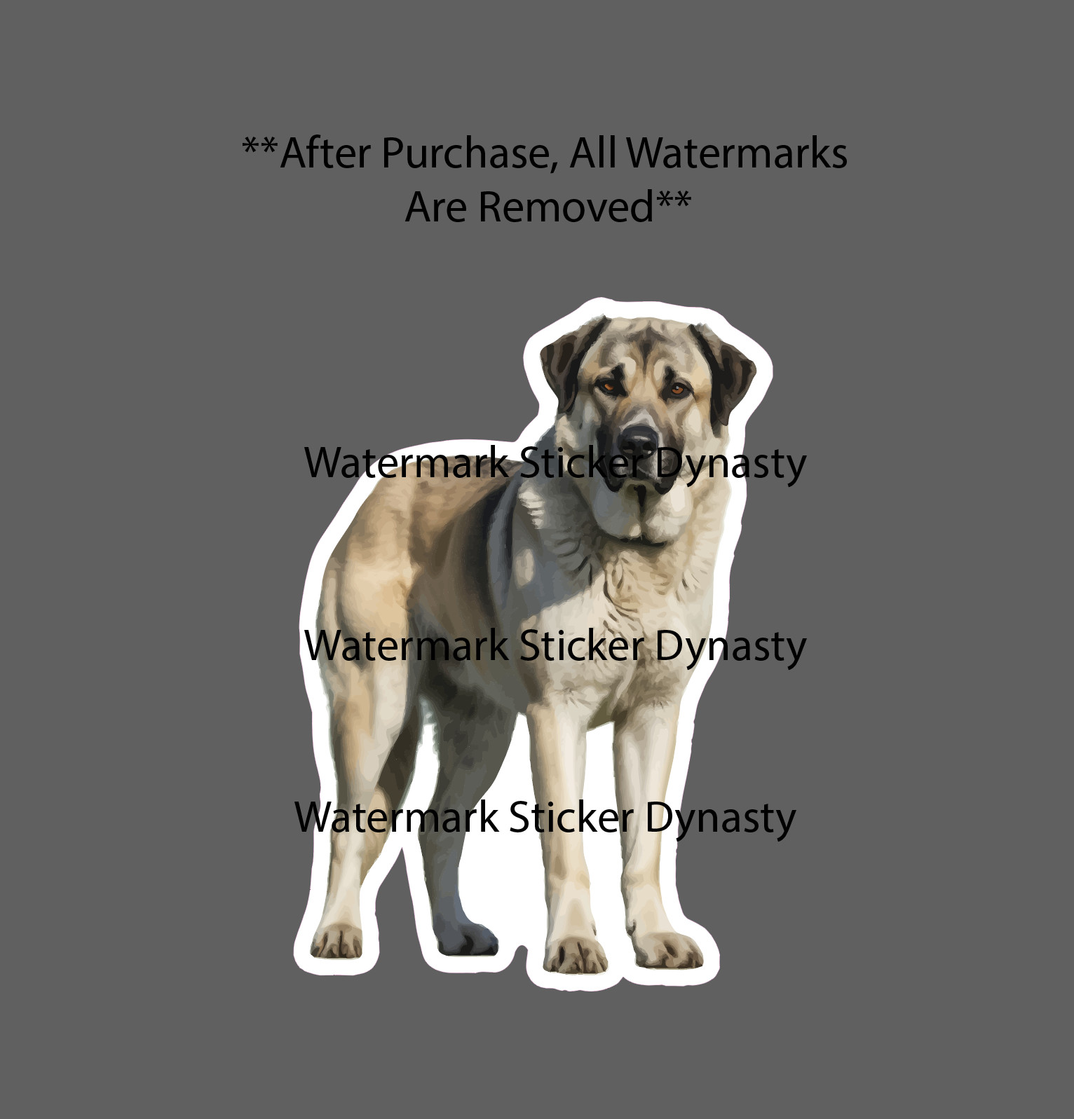 Anatolian Shepherd Sticker Waterproof Decal Dog Pet Farm Farmhouse Gift NEW