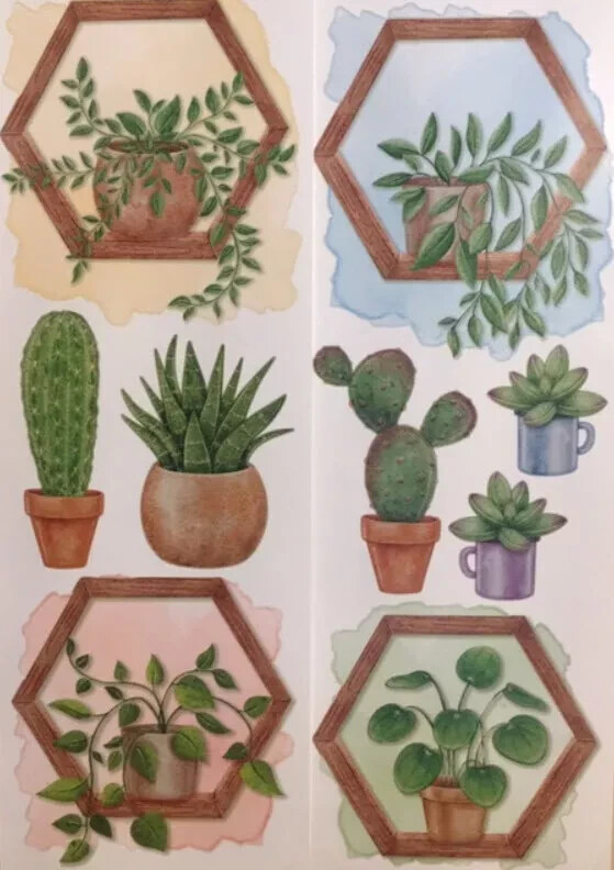 NEW CACTI wall stickers 9 decals SUCCULENT themed decor cactus plants