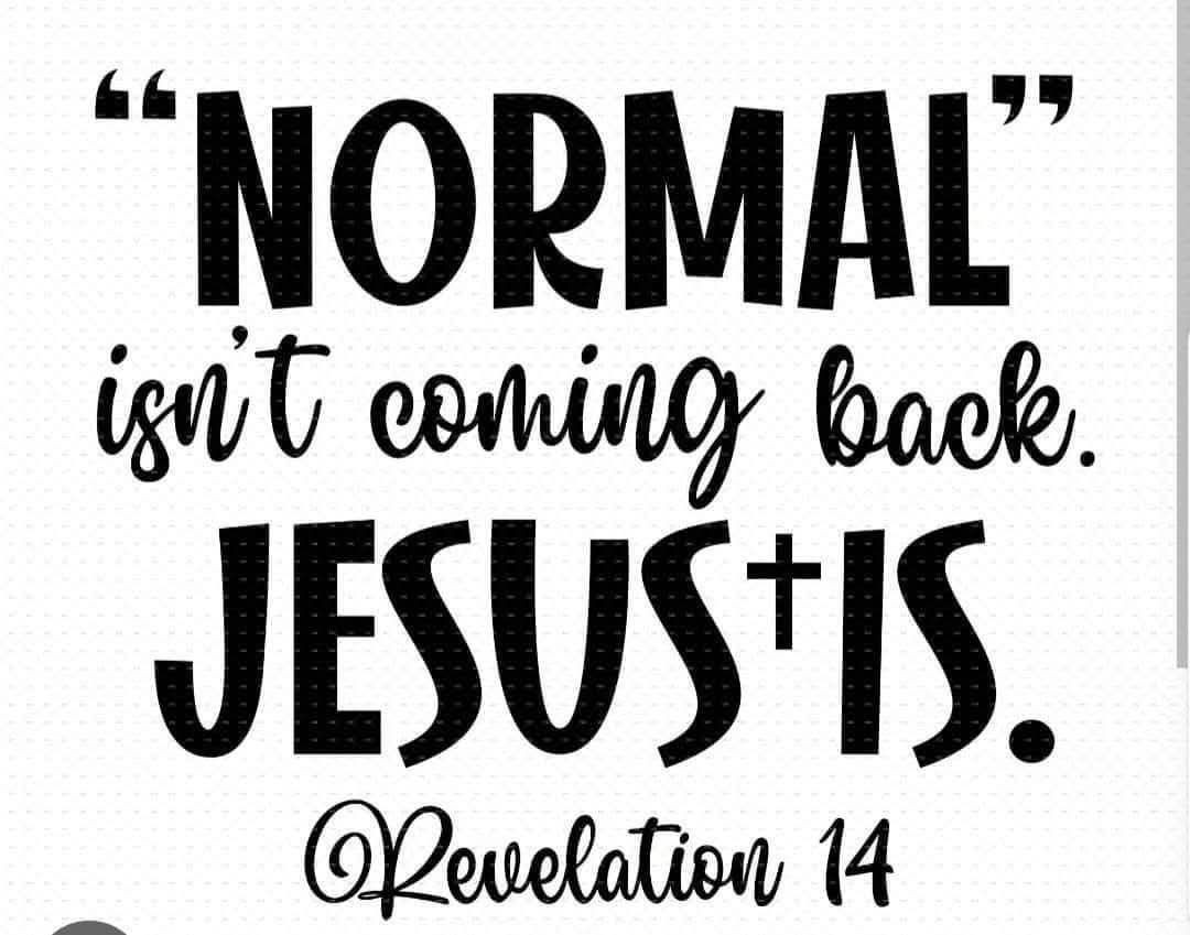 Normal is'nt coming back Jesus is Sticker Decal Laptop Wall Mirror Tumblr Locker
