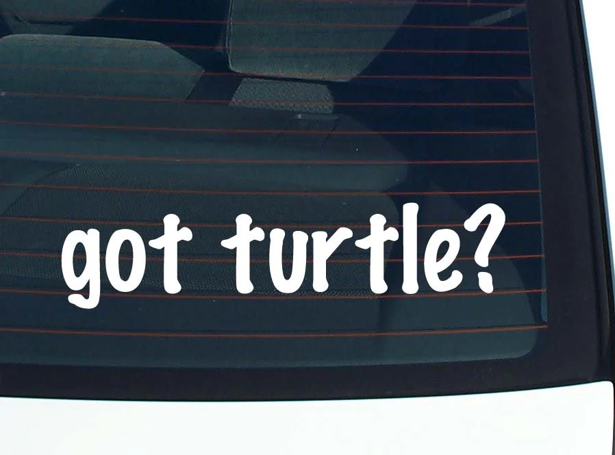 got turtle? CAR DECAL BUMPER STICKER VINYL FUNNY JOKE WINDOW