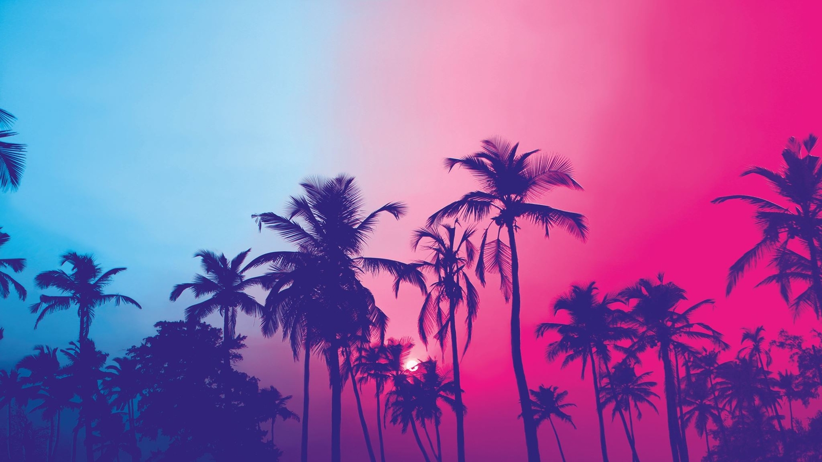 Miami Tropical Palm Tree Vice Color Wall Mural. Vivid Miami Vice Color. #6281