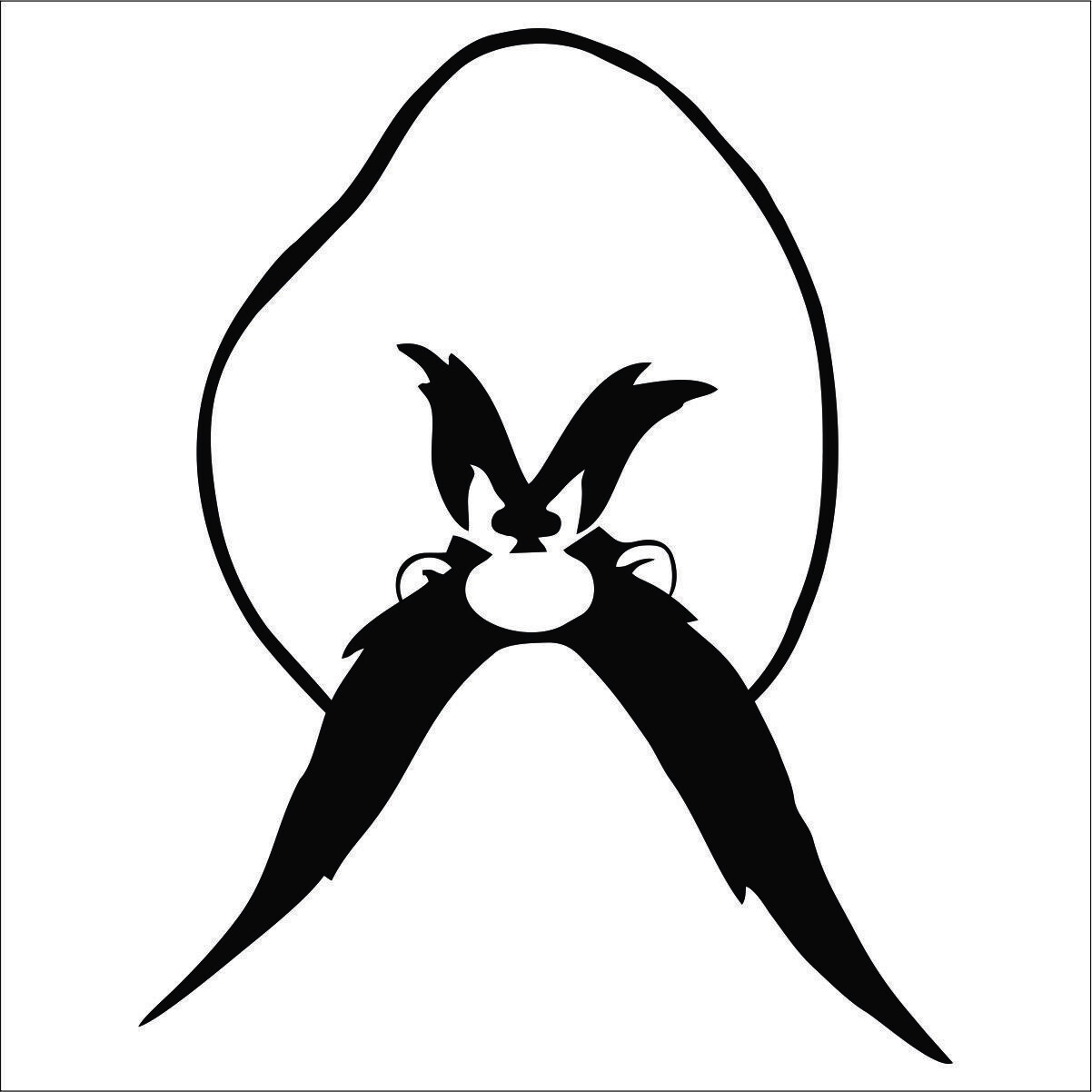 Sam Decal / Sticker – Choose Color & Size – Looney Free shipping-