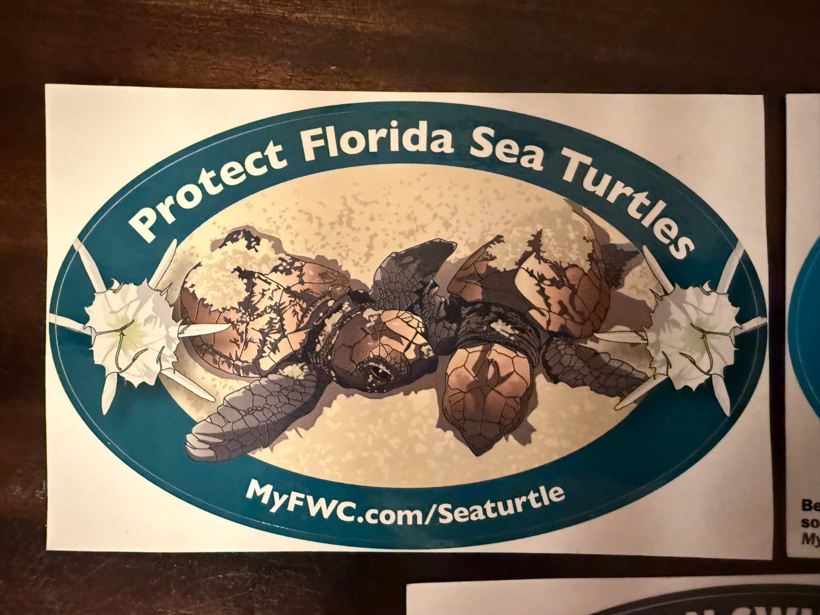 5 Turtle 5 Manatee~10 Decals Florida Fish & Wildlife Conservation Commission