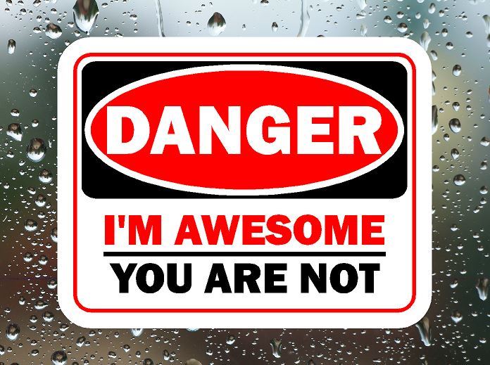 Danger I'm Awesome You Are Not Unique Funny Wacky Novelty Printed Vinyl Sticker