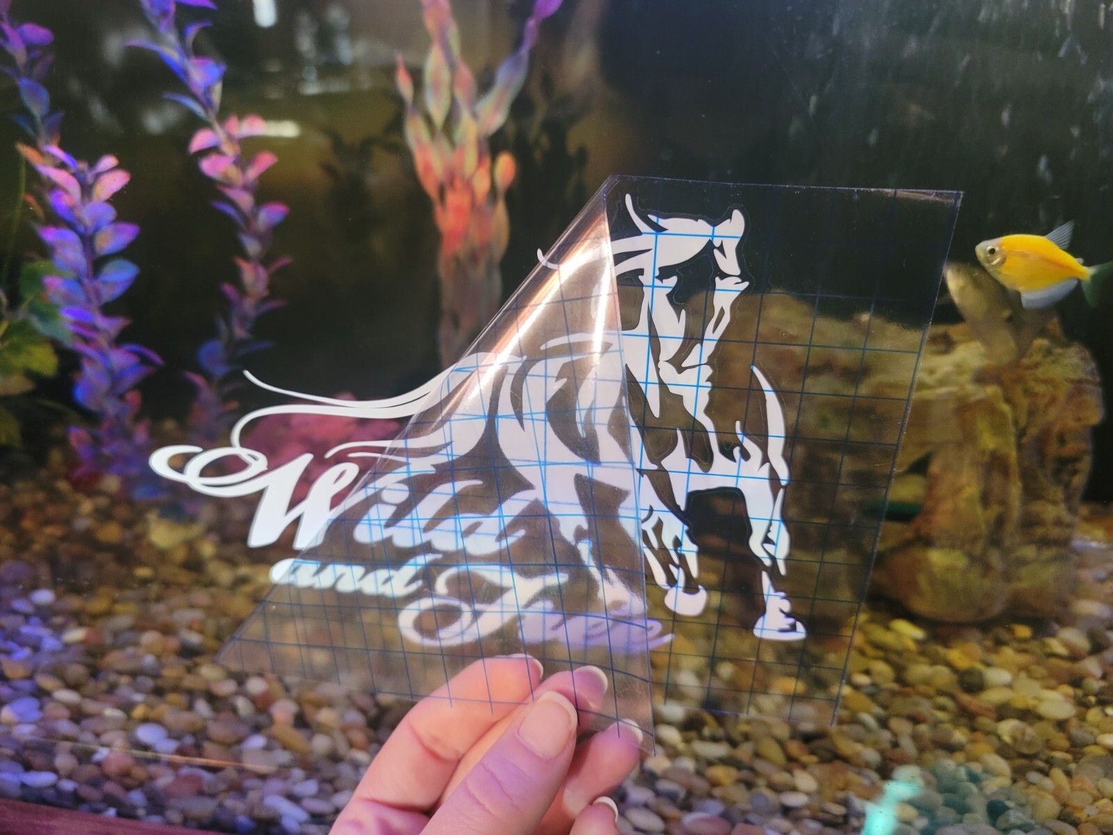 Beautiful disaster Decal For Window Or vehicle for women/ladies