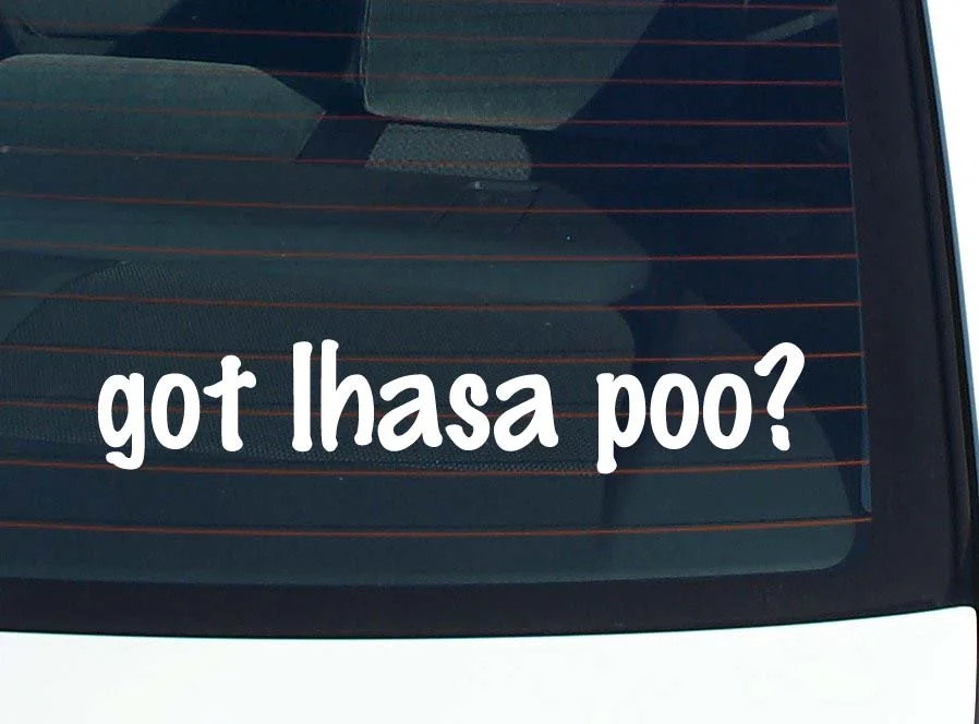 got lhasa poo? CAR DECAL BUMPER STICKER VINYL FUNNY JOKE WINDOW