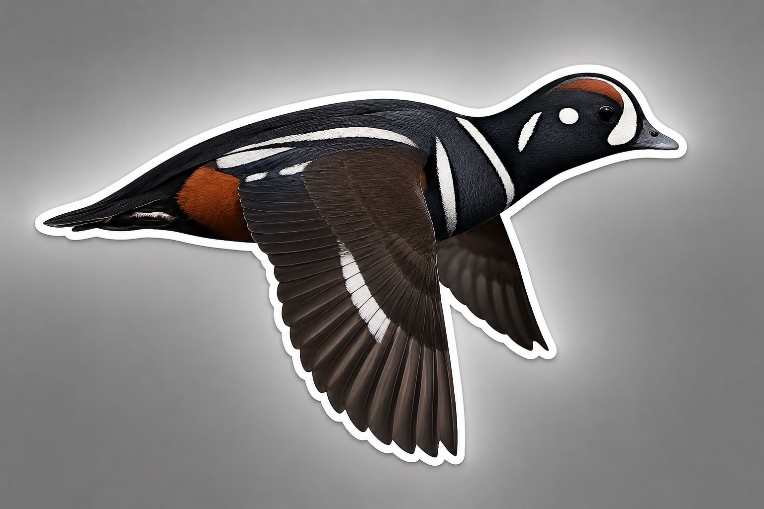 Harlequin Duck Decoy Sticker Vinyl Hunting Stamp Logo Sea Duck Shotgun Bird Fly