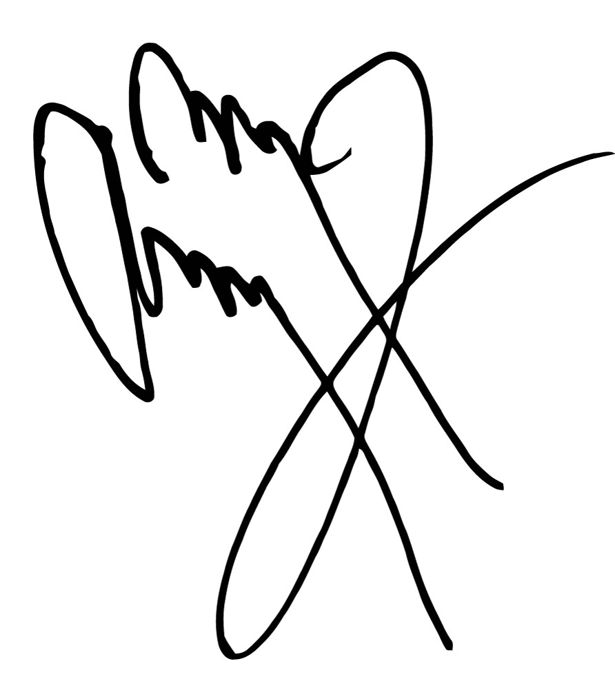 Jimmy Page autograph signature VINYL DECAL bumper sticker Led Zeppelin