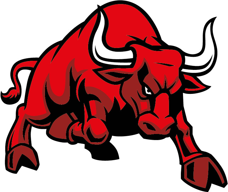 Cartoon Red Bull Angry Car Bumper Sticker Decal