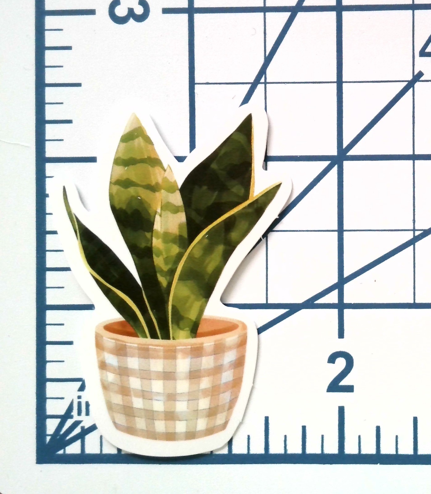 Snake Plant Sansevieria Vinyl Sticker Houseplant Boho Decor Pot Leaf Decal