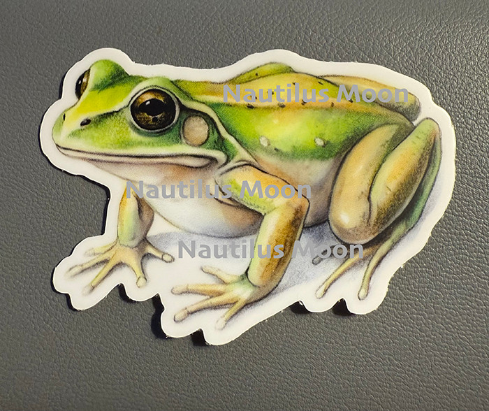 Watercolor Frog sticker. Die-Cut 3" Very pretty coloring on this sweetie.