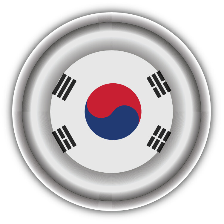 South Korea Flag Button Car Bumper Sticker Decal