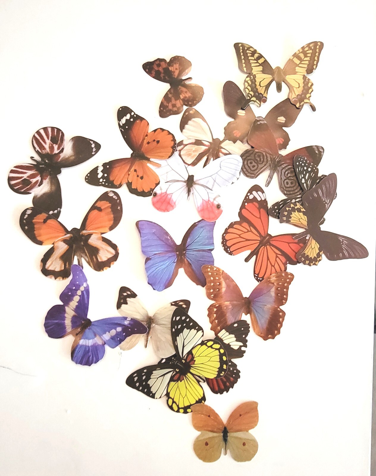 19 pcs 3d small butterfly wall decor, party, wedding, diy, home decoration