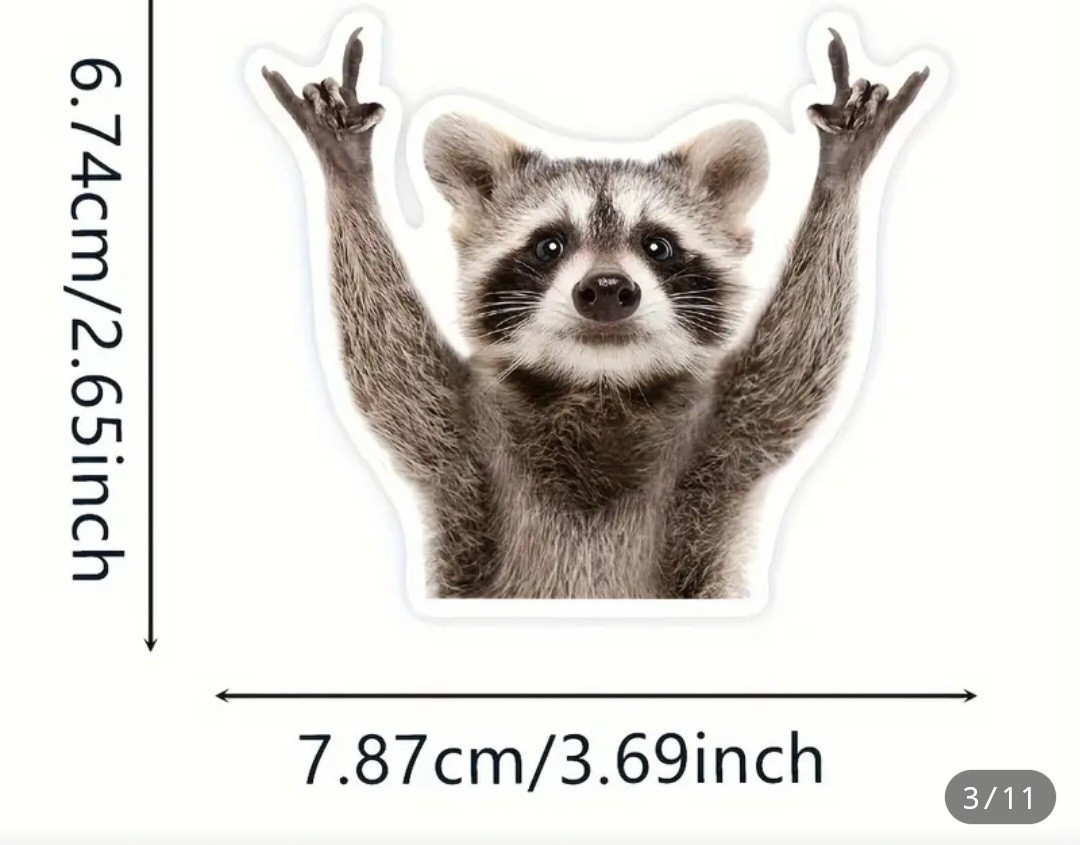 Rocking Raccoon Car Decal Sticker Laptop, Motorcycle Free Shipping 4x4in