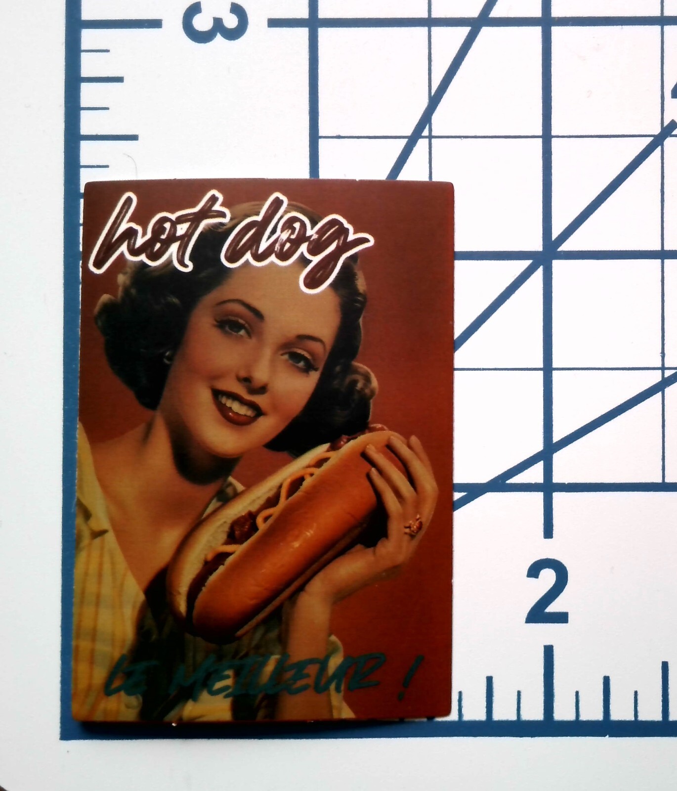 Hot Dog Vintage Pinup Girl Sticker Retro Food Ad Diner Chef Cookout BBQ