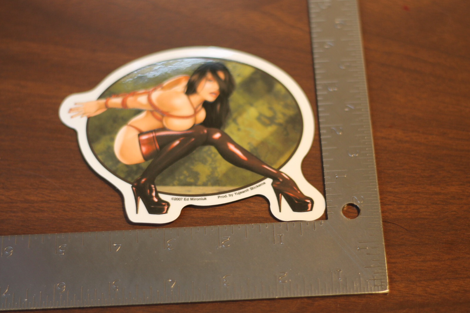 NEW ED MIRONIUK BOUND FOR YOU BONDAGE PINUP STICKER