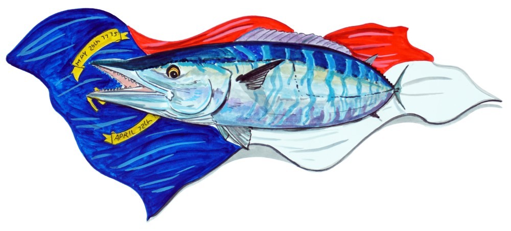 Decal Vinyl Sticker NC Flag & Wahoo Made in USA