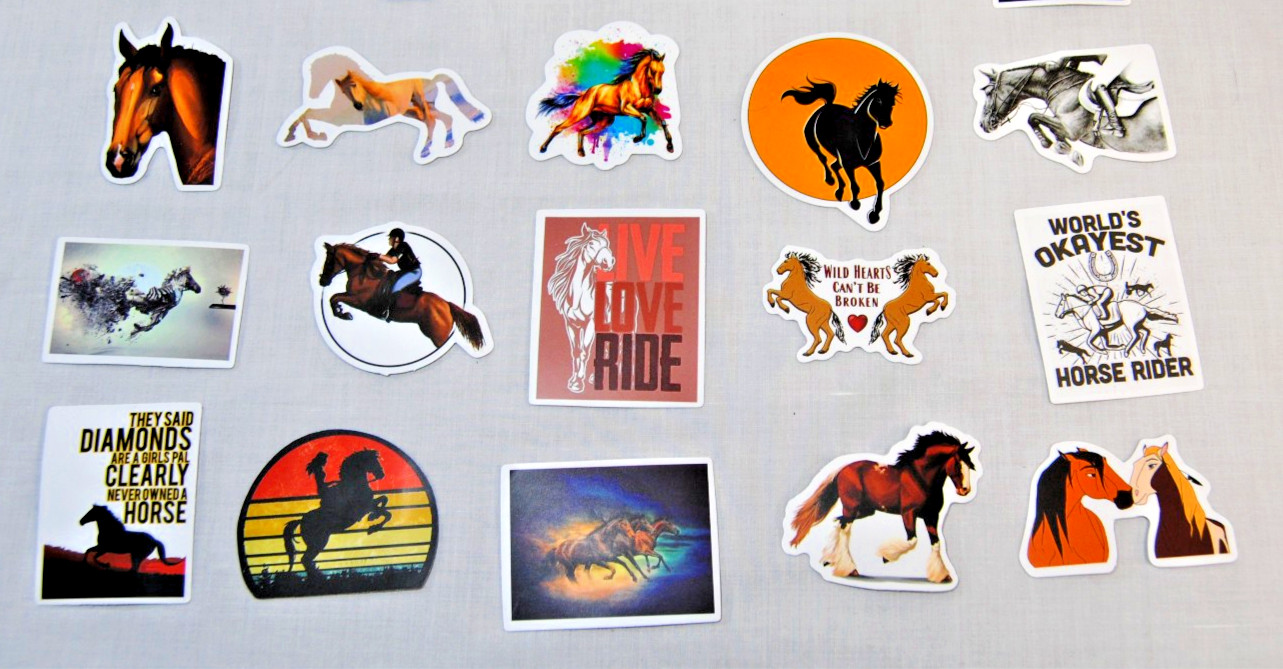 Horse Stickers for Laptop, Water Bottles Plus for Kids to Adults 200Pcs T2694