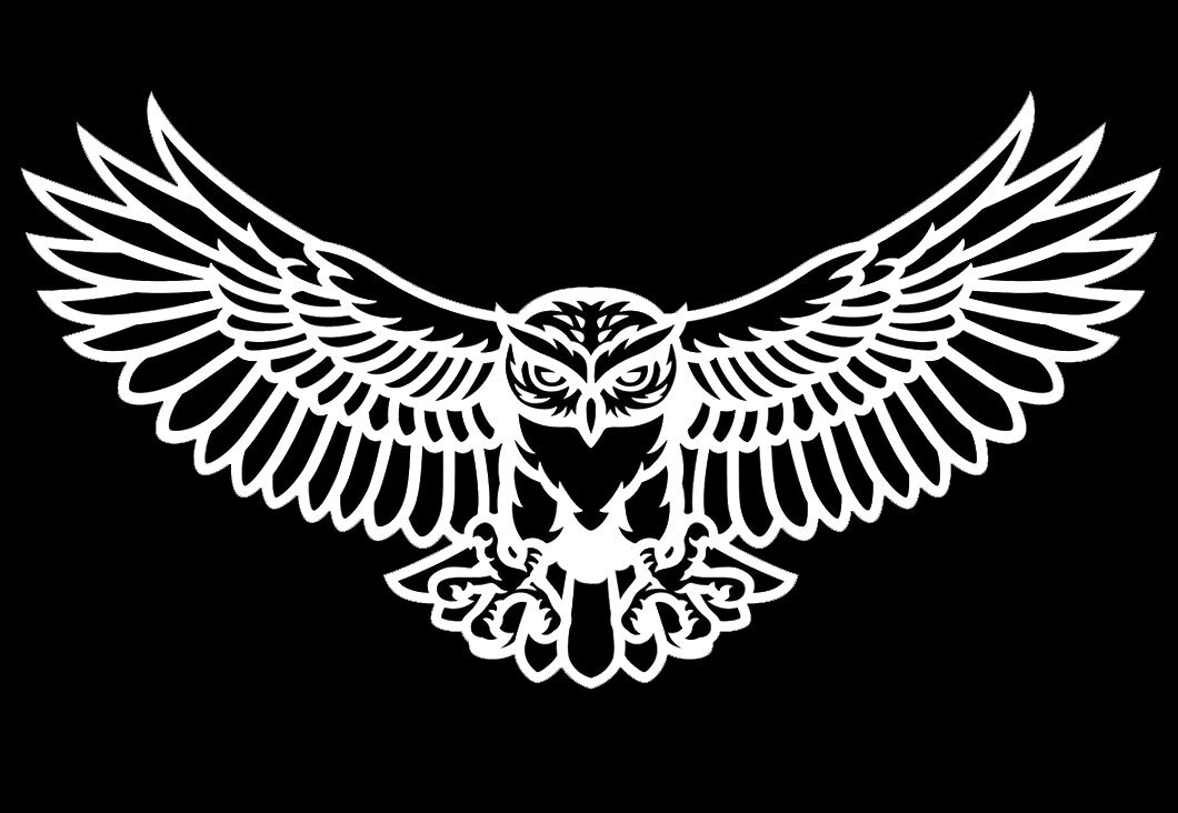Owl Flying Hunting Two Pk 7" Vinyl Decal Car Truck Window Tablet Laptop Notebook