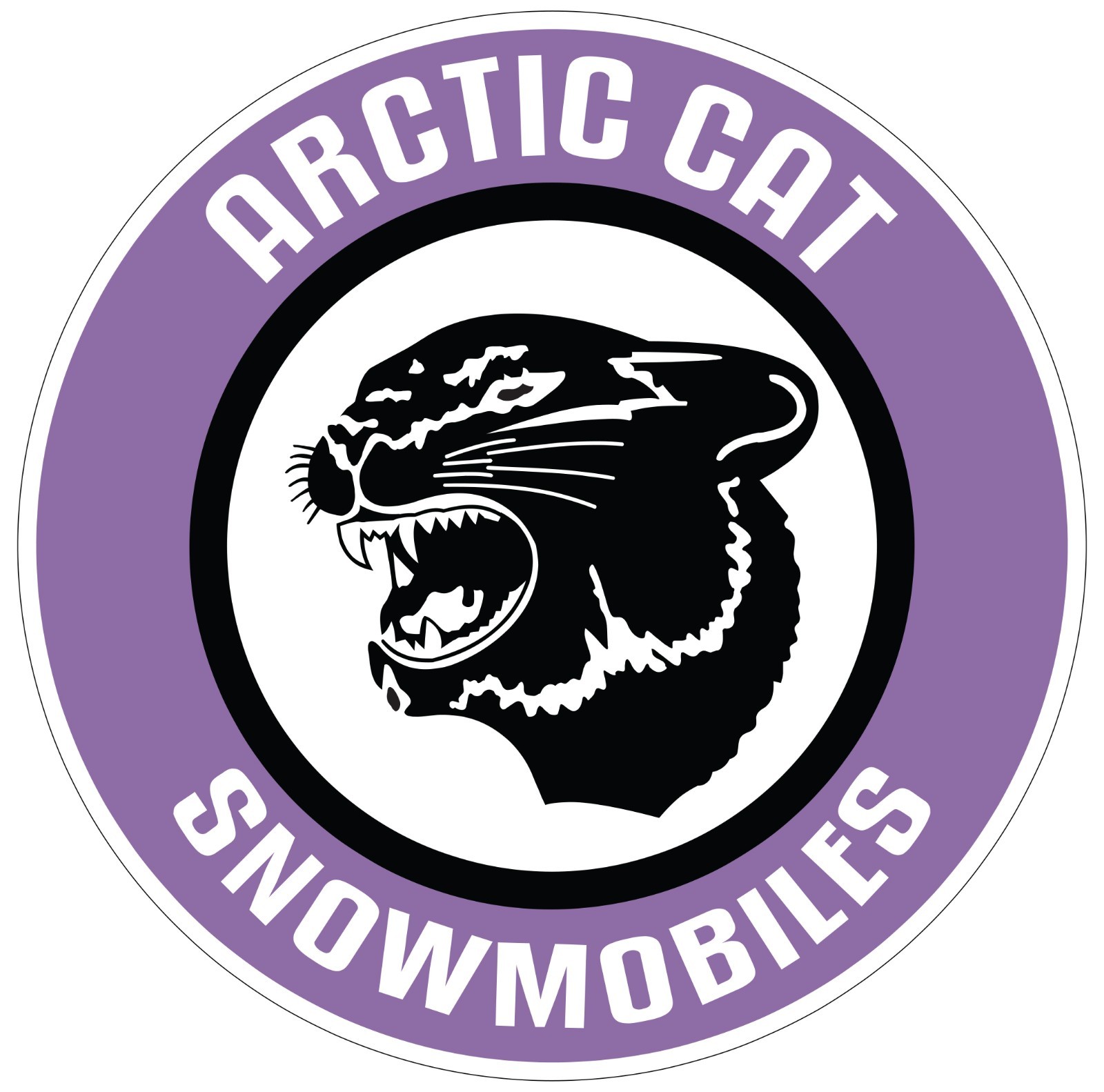Arctic Cat Snowmobiles Vintage Logo Indoor Wall Vinyl Decal Sticker 5 – 52"