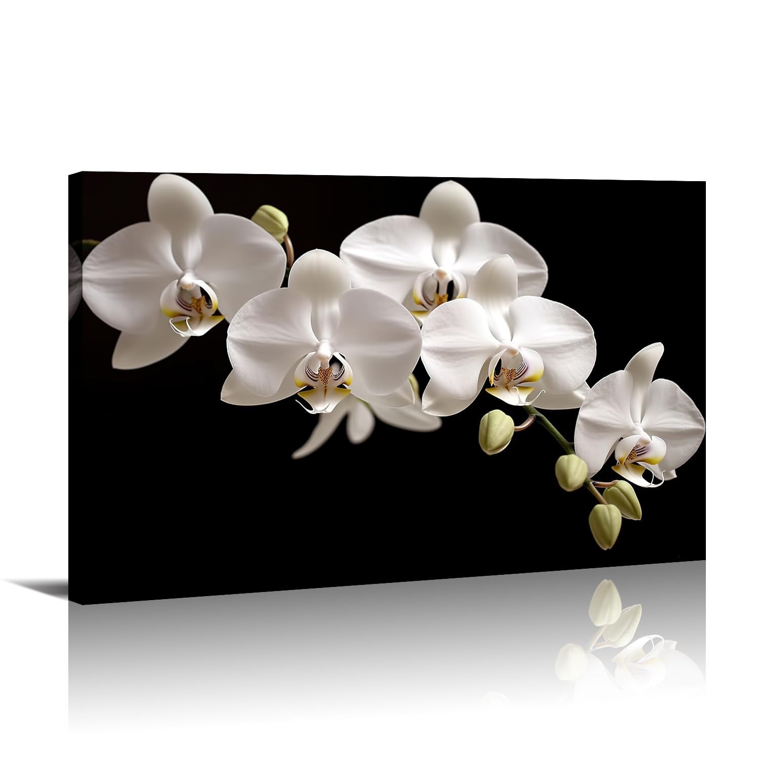 Orchid Canvas Wall Art Bathroom Wall Decor Black Posters White Floral Paintin…