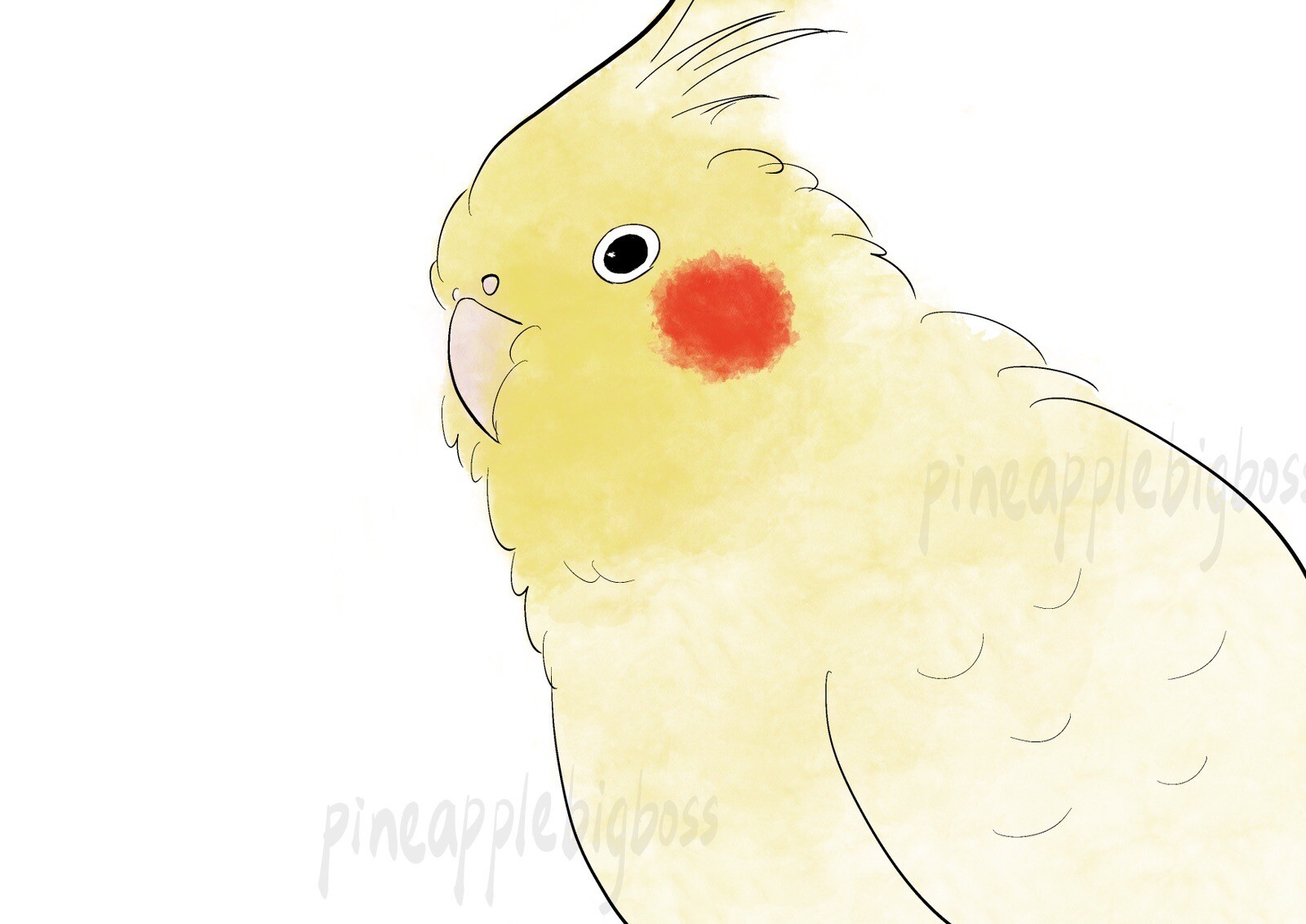 Lutino Cockatiel CAR Sticker Outdoor use / UV & Water Proof Parrot Sticker