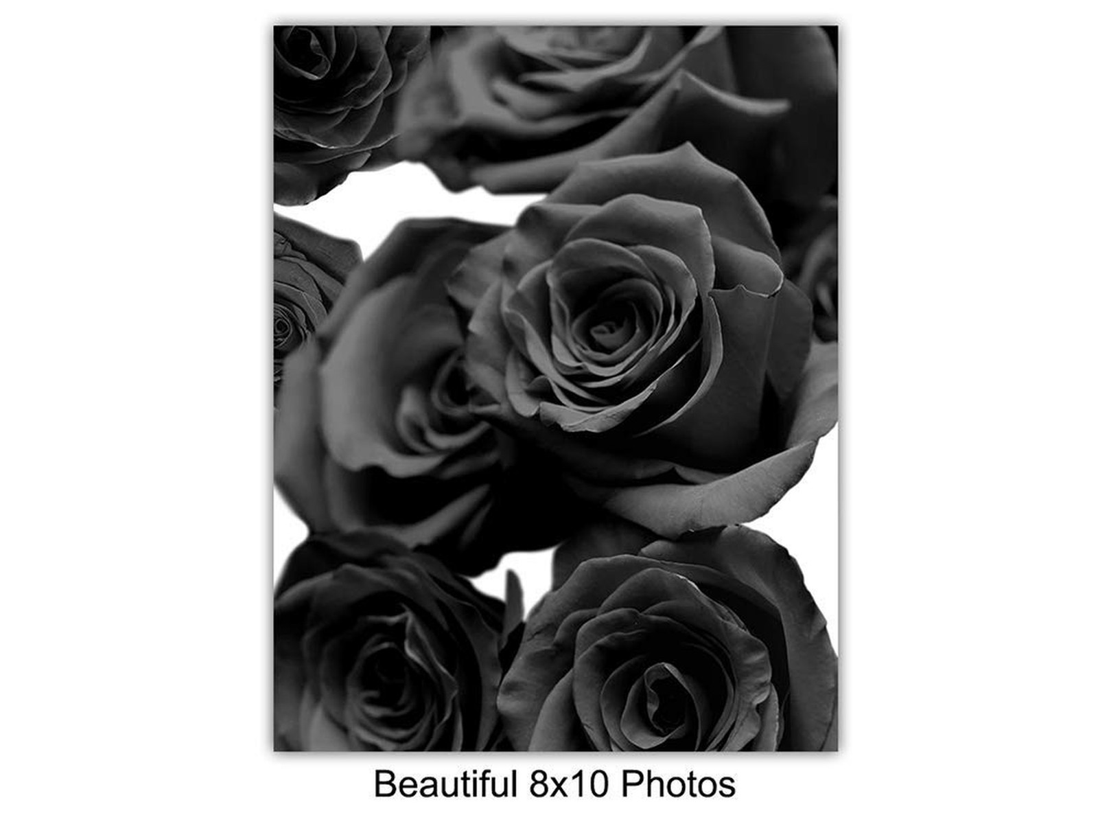 Poster Pictures of Fashion Wall Decor Wall Art – Glam Designer Decor – Glamou…
