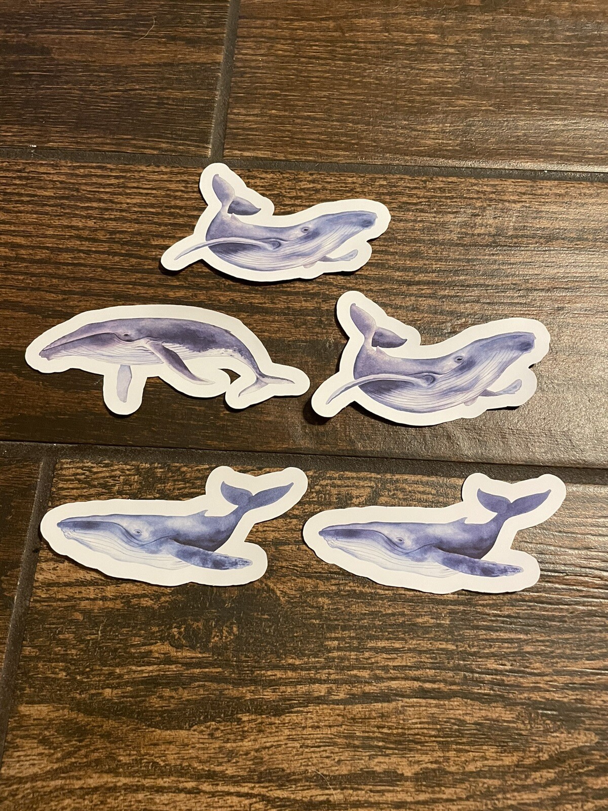 Whale Vinyl Stickers Humpback
