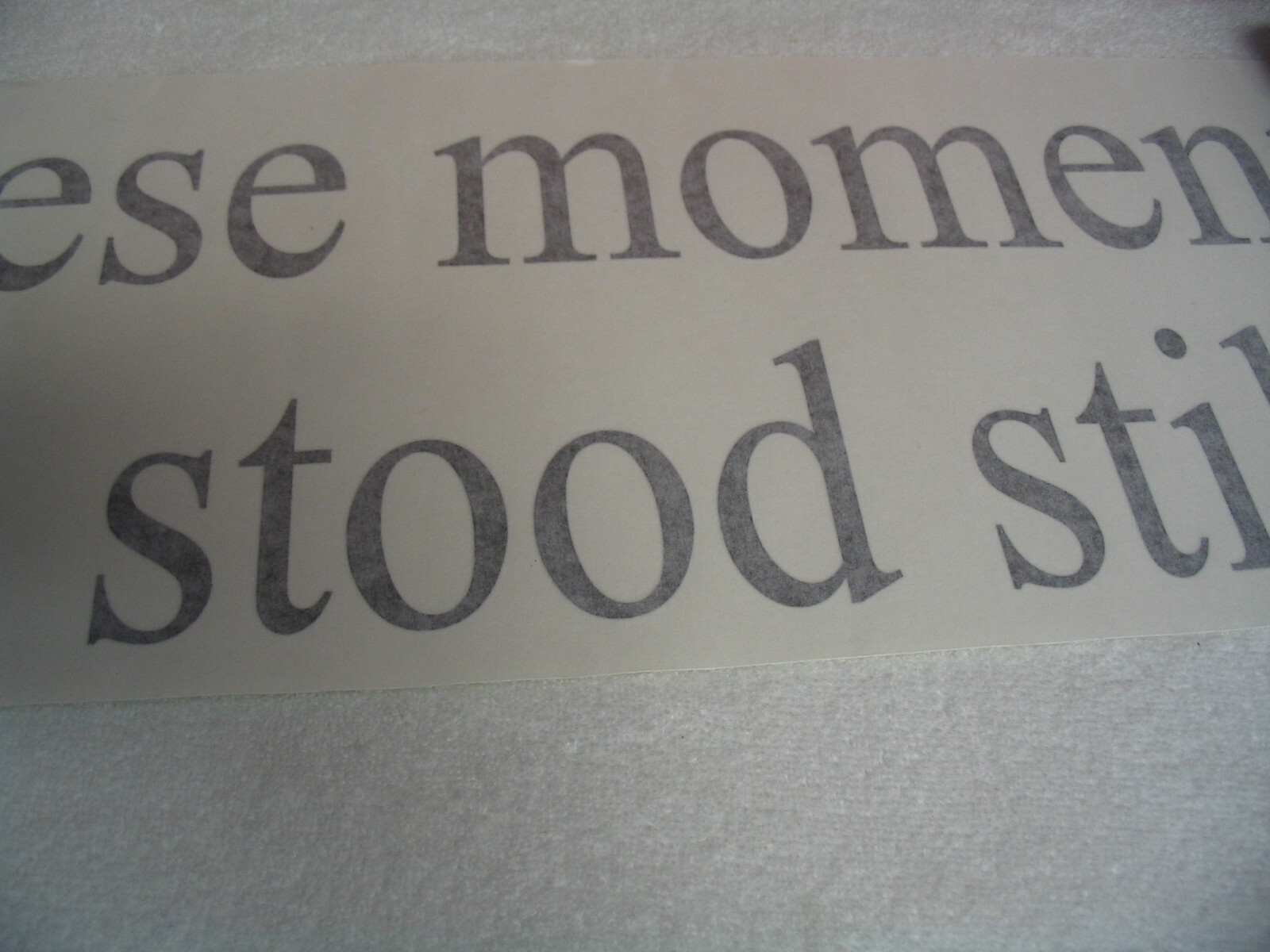 In These Moments Time Stood Still. . .Wall Decal Sticker Family Art 23"W Black