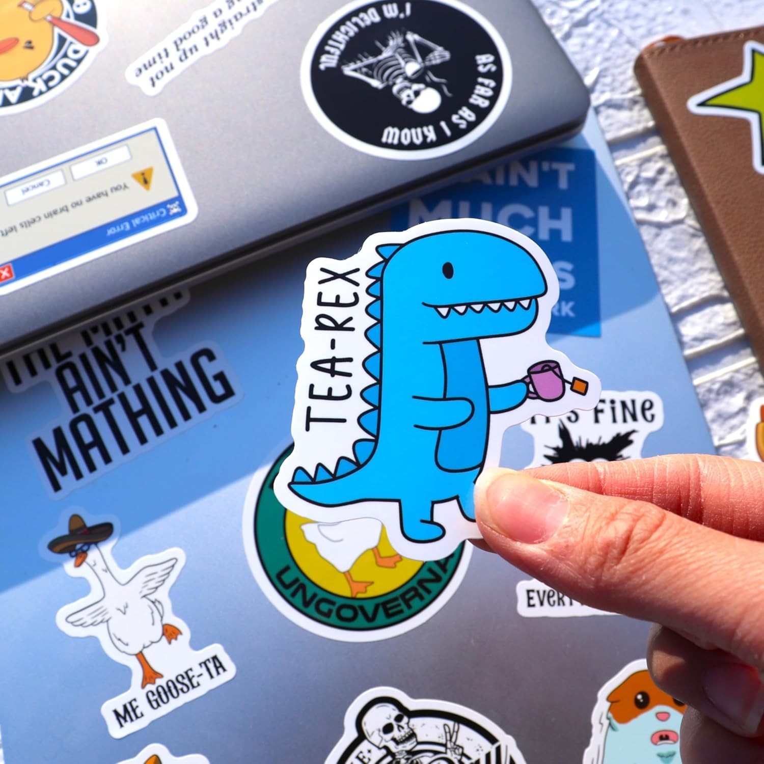 300Pcs Funny Dirty Meme Vinyl Stickers Waterproof for Laptop Water Bottles DIY