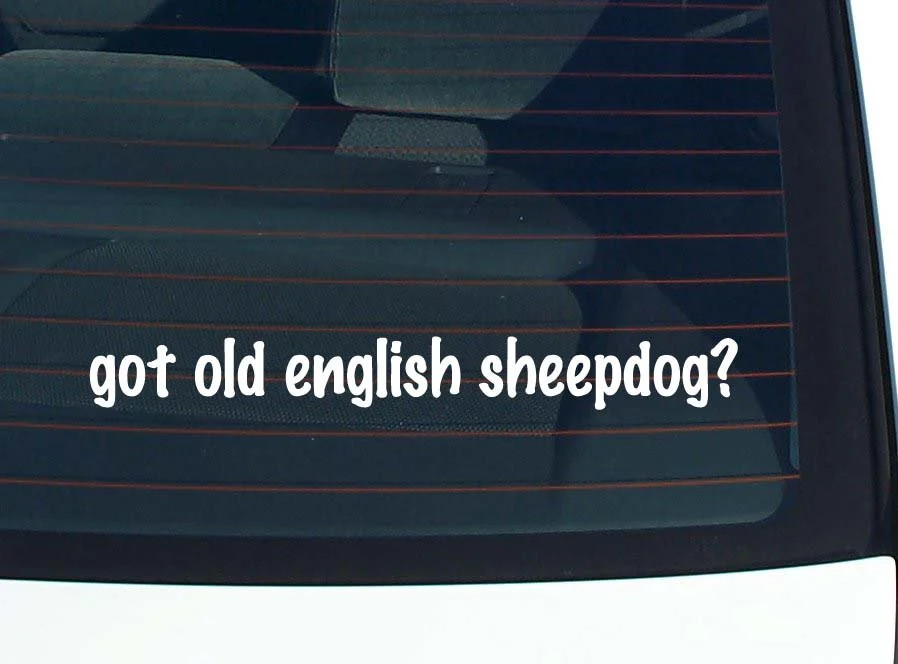 got old english sheepdog? CAR DECAL BUMPER STICKER VINYL FUNNY JOKE WINDOW