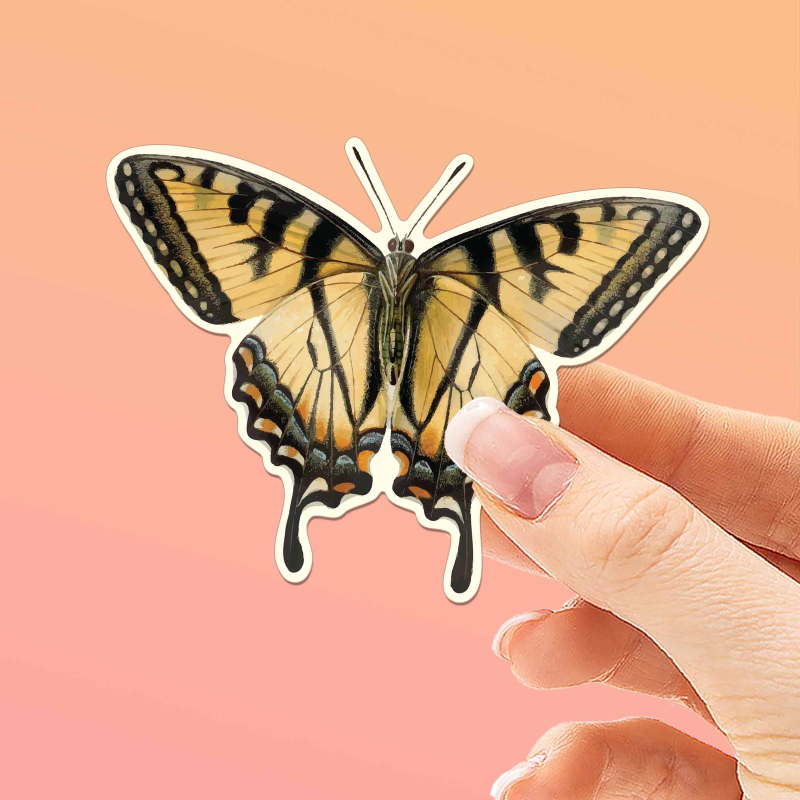 Tiger Swallowtail Butterfly Sticker