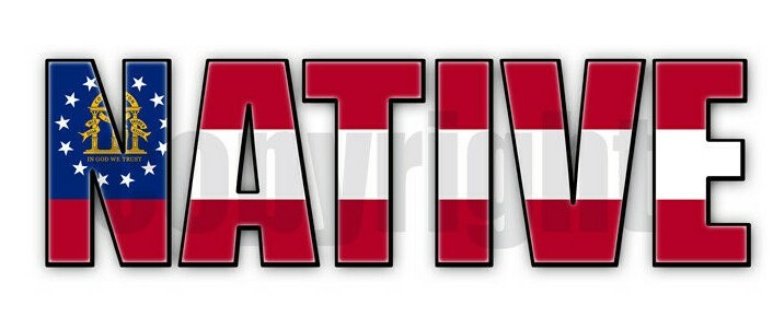 Georgia Native Flag Stickers Flag Decals Stickers