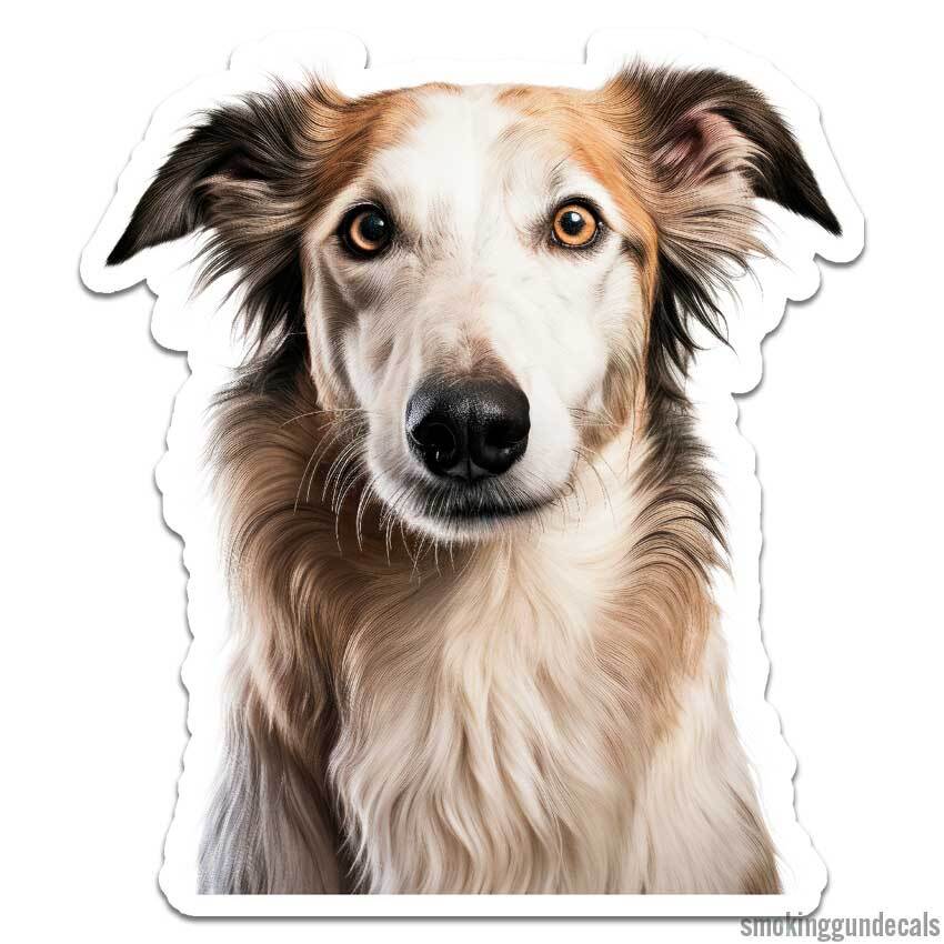 Borzoi Dog, Vinyl Decal Sticker, Indoor Outdoor, 3 Sizes, #12195