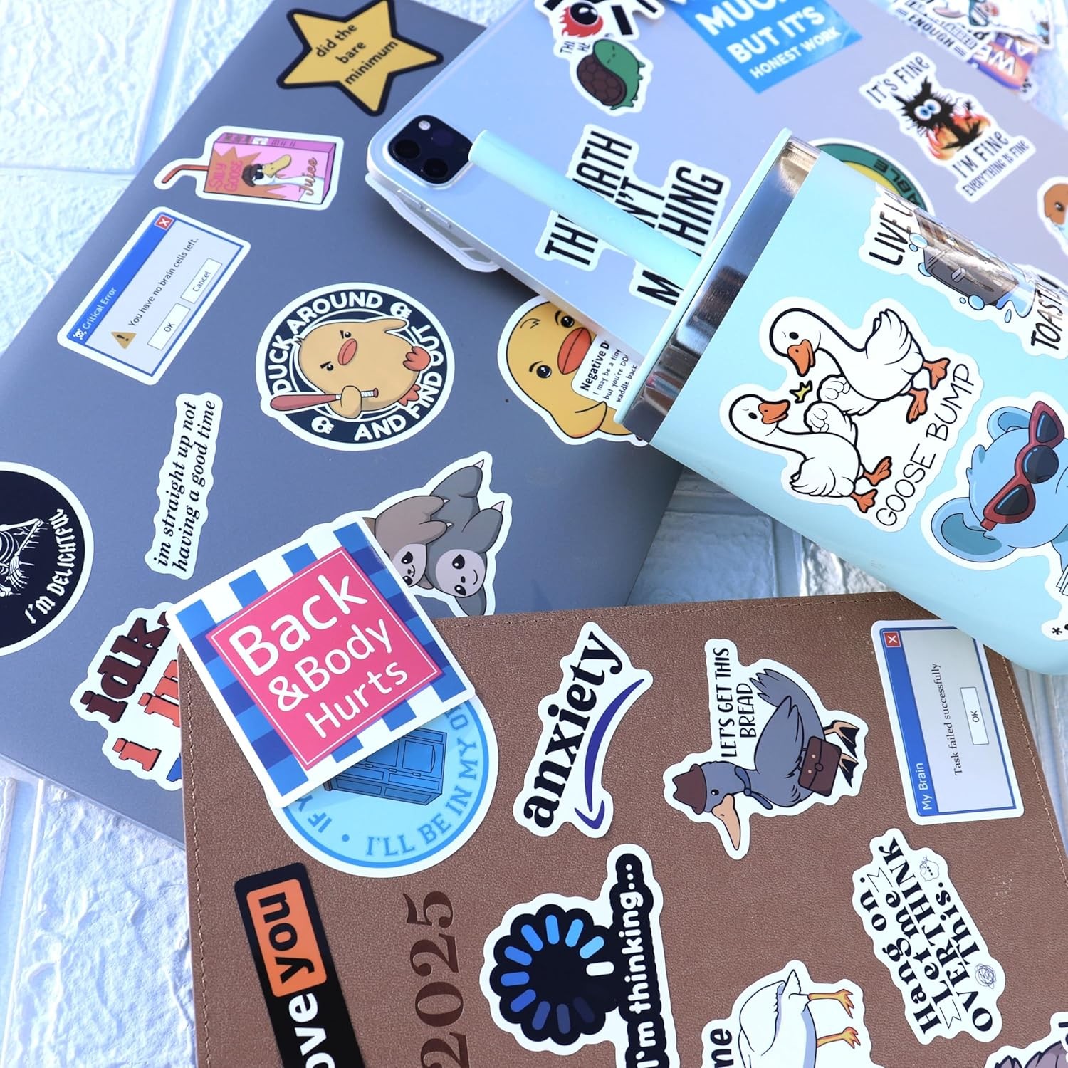 300Pcs Funny Dirty Meme Vinyl Stickers Waterproof for Laptop Water Bottles DIY