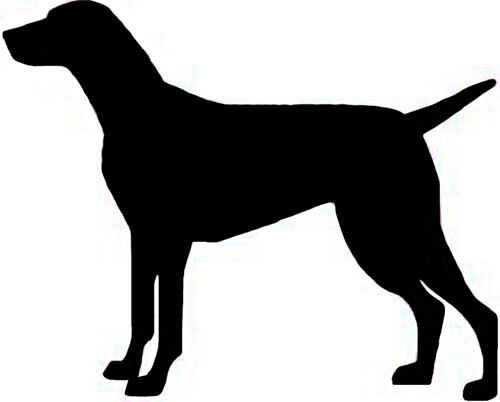 Breeds V-Y Dog Breed Silhouette Vinyl Decal Sticker – FREE USA SHIPPING