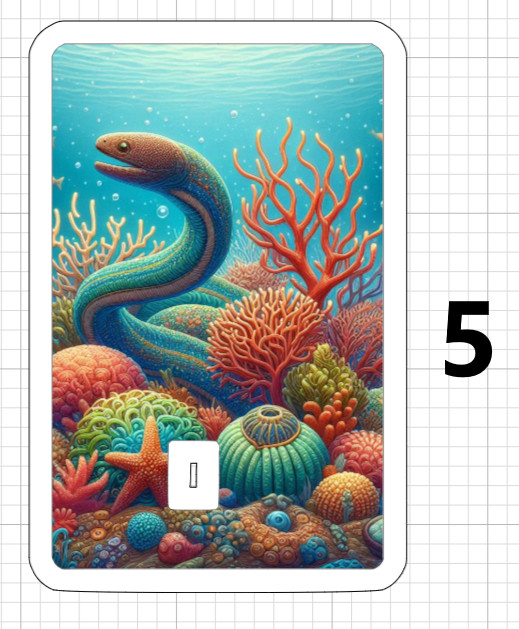 Sea Life Turtle Seahorse Dolphin ATM DEBIT CREDIT CARD STICKER Coral Eel Ocean