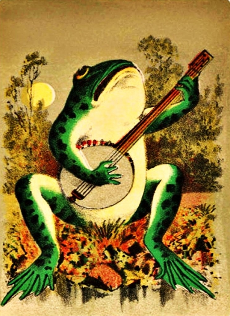 Banjo Playing Frog Vinyl Sticker Decal Hippie Rock n Roll Grateful Dead Yeti Cup