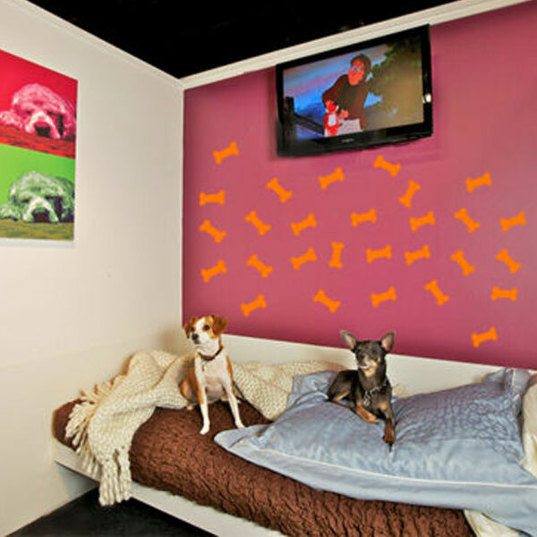 3" X 1.5" Dog Bone Home Office Wall Bathroom Window Vinyl Decals Stickers Decor