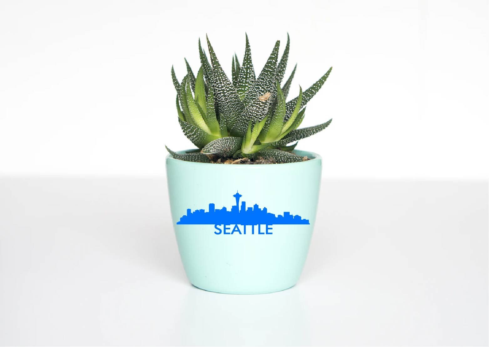 Seattle Washington Decal Sticker WA State Skyline Skyscapes City View