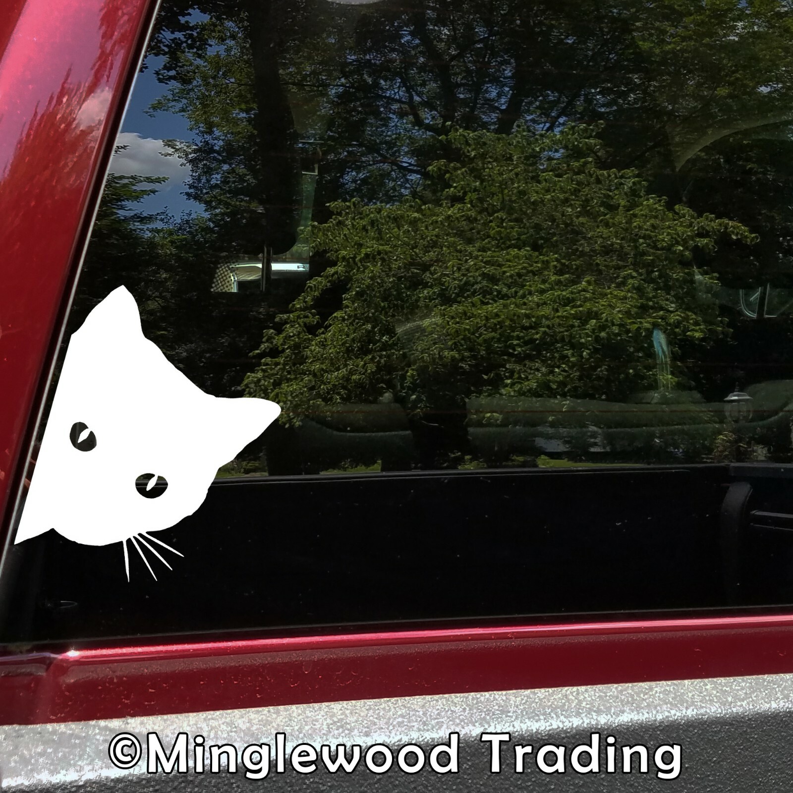 CAT PEEKING Vinyl Sticker – Feline Pet Kitten – Die Cut Decal