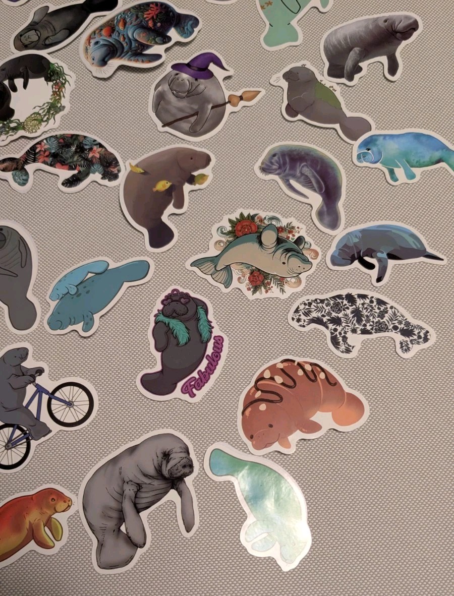 MYSTERY MIXED LOT OF 10 MANATEE GRAPHIC DECAL STICKER ART CAR WALL LAPTOP DECOR