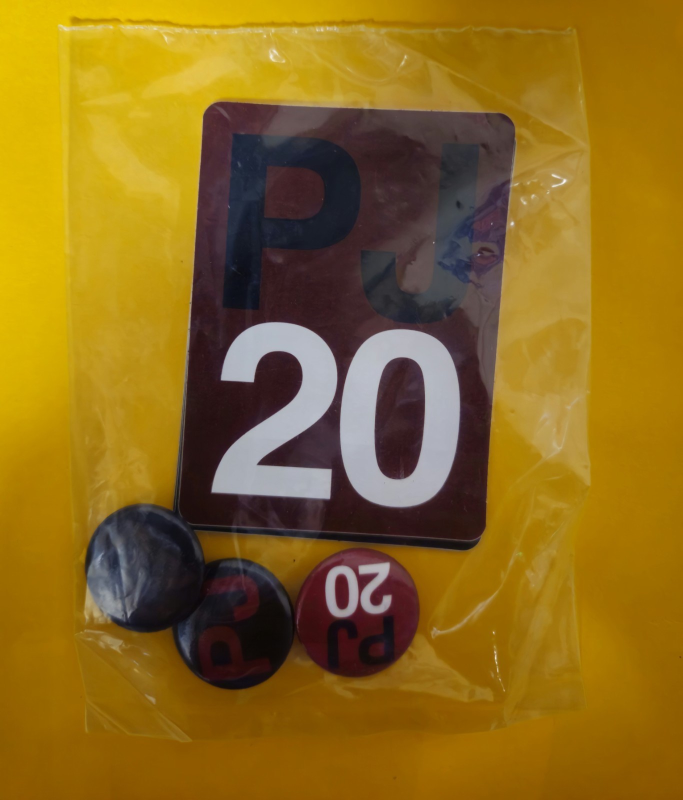 Pearl Jam PJ20 Sticker & Pin Button Set *Sealed* Original 2011 Alpine Valley