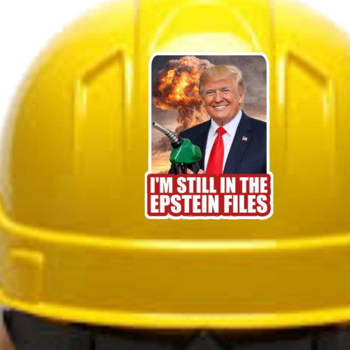 4pc Assorted Anti Trump Vinyl Stickers Heavy Duty Die Cut Durable 3.0"W x 3.5"H