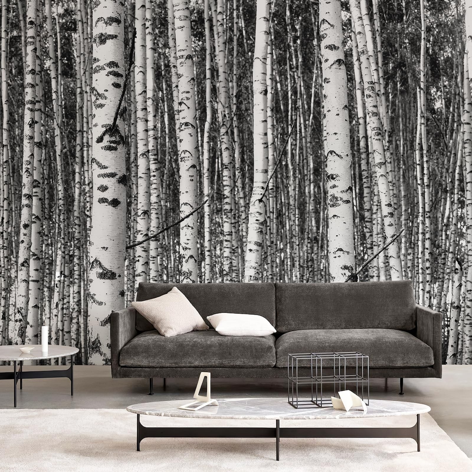 Large Wall Mural Peel and Stick Black White Birch Forest Mural 148"x 98"